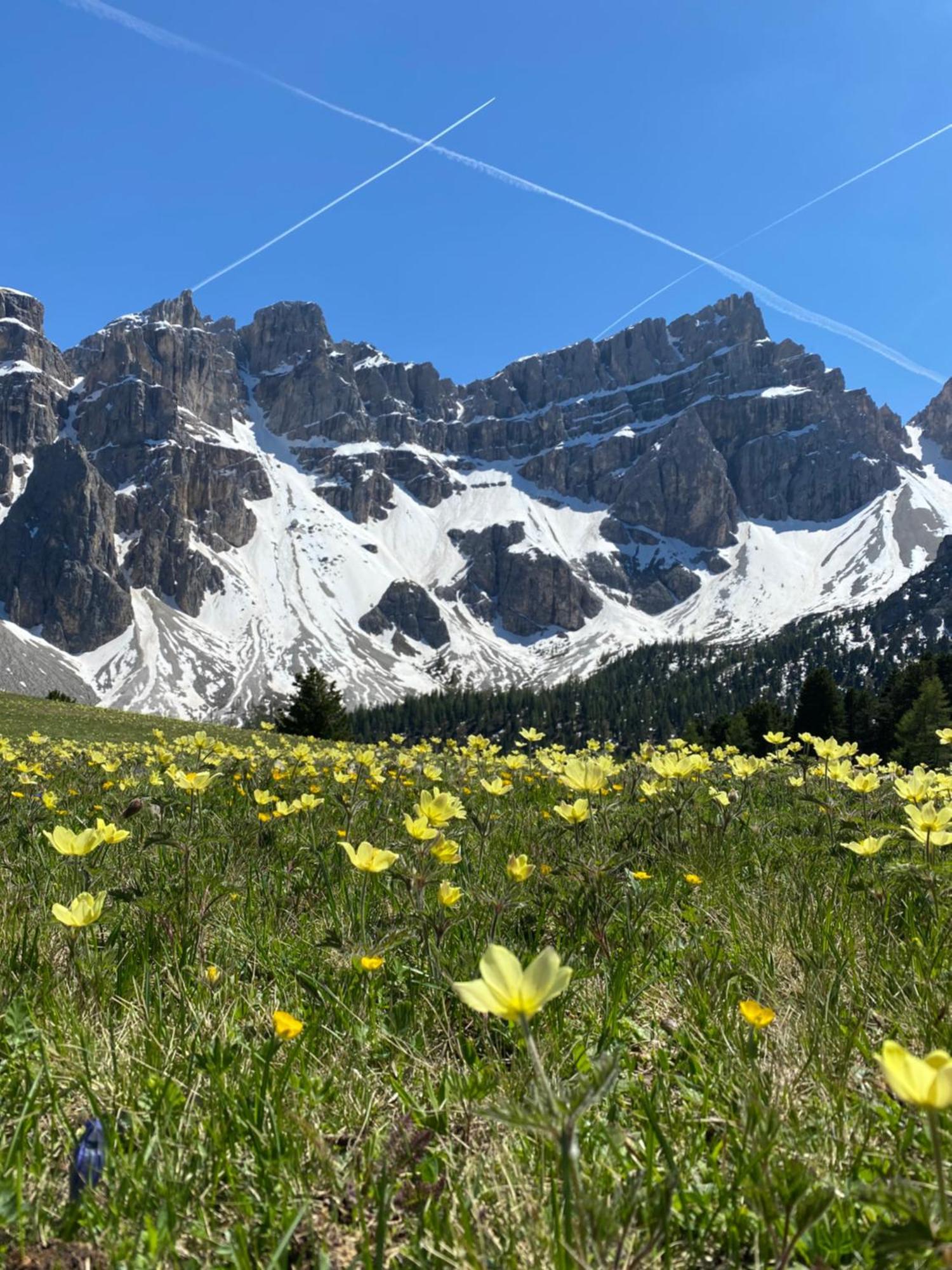 Appartamenti La Fontana San Martino in Badia Exteriér fotografie